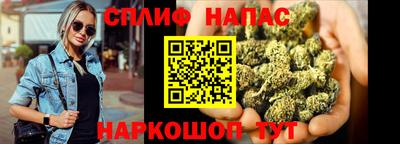 PSILOCYBIN Тула