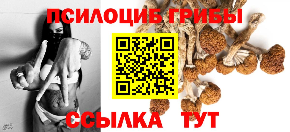 Псилоцибиновые грибы Psilocybine cubensis Острогожск